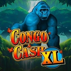 Congo Cash XL